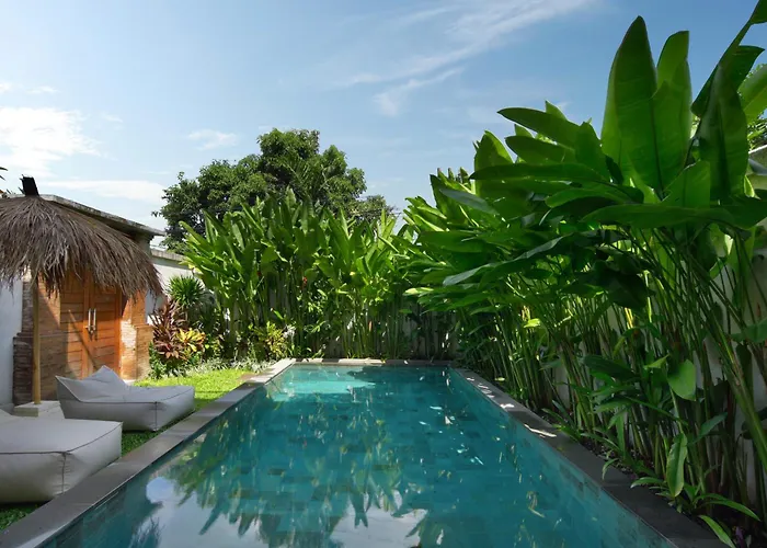 Villa Reviva - 3br Seminyak
